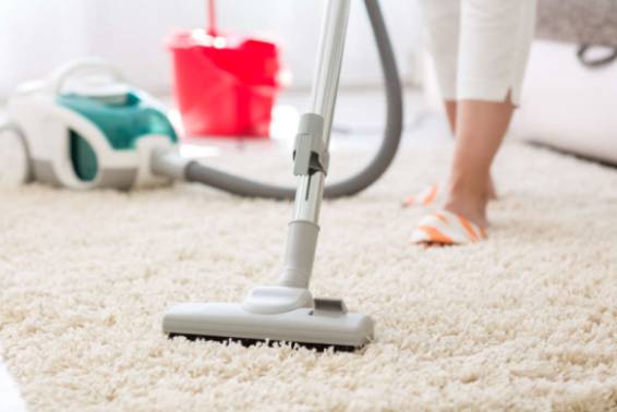 Carpet Cleaner Leads Cost