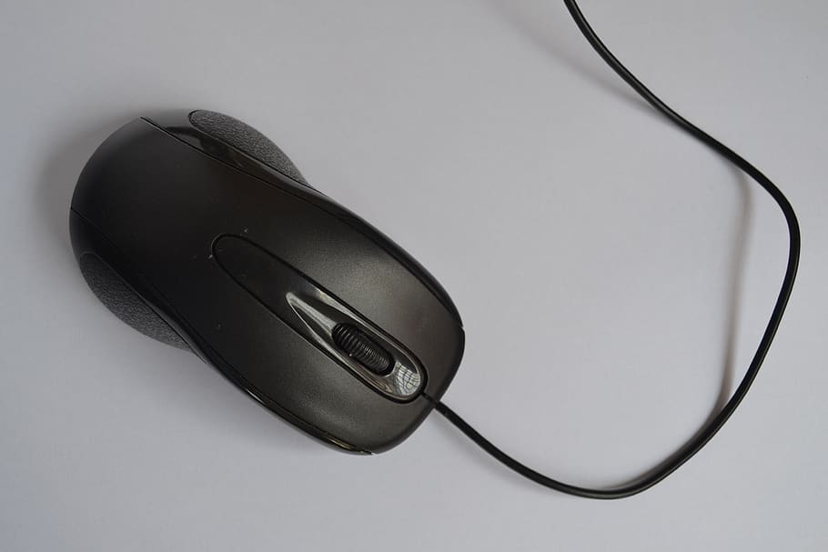 mouse