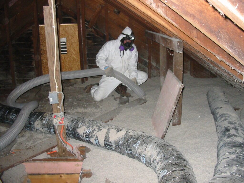 Mold Abatement Local Leads