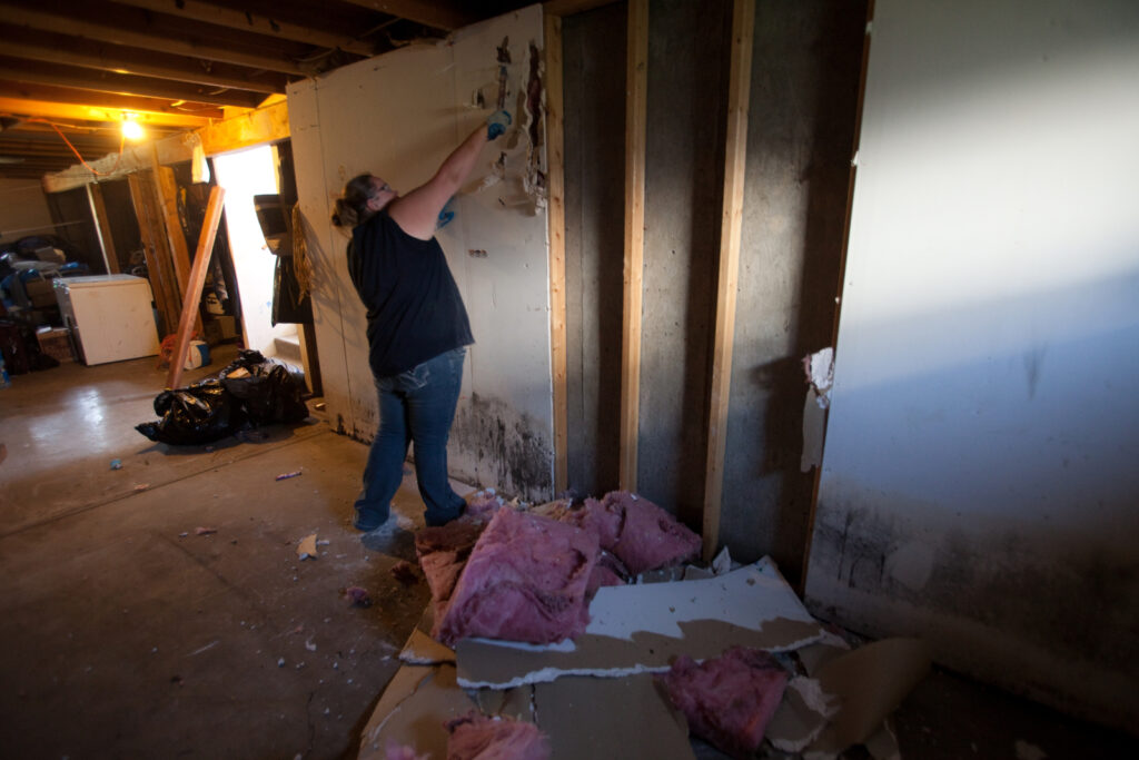 Mold Abatement Local Leads