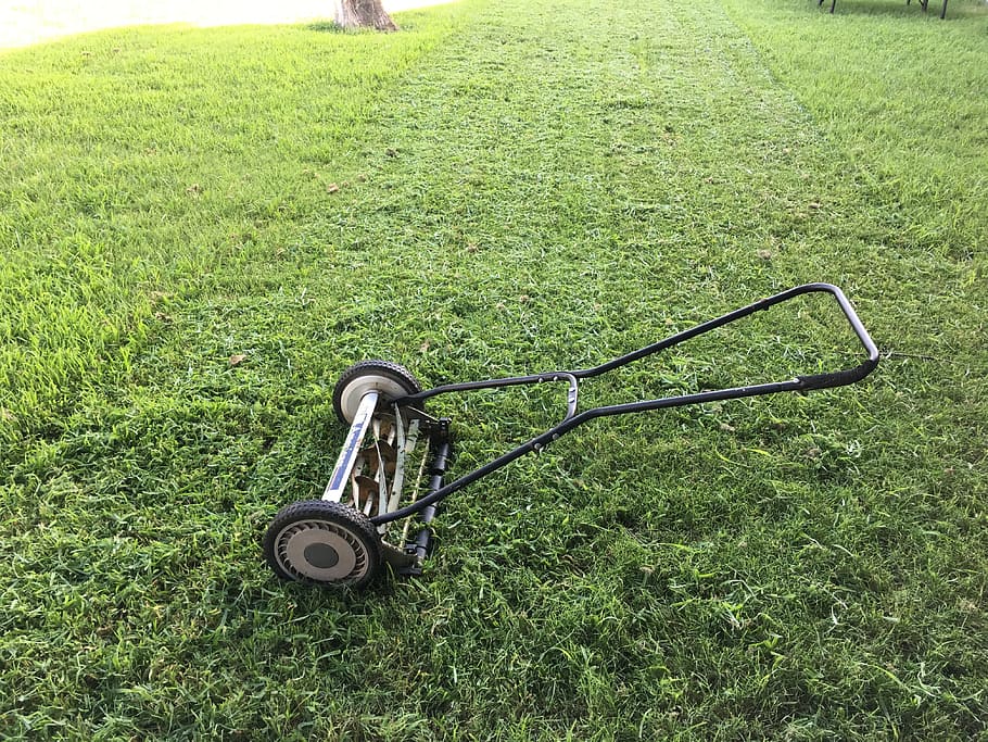 lawnmower