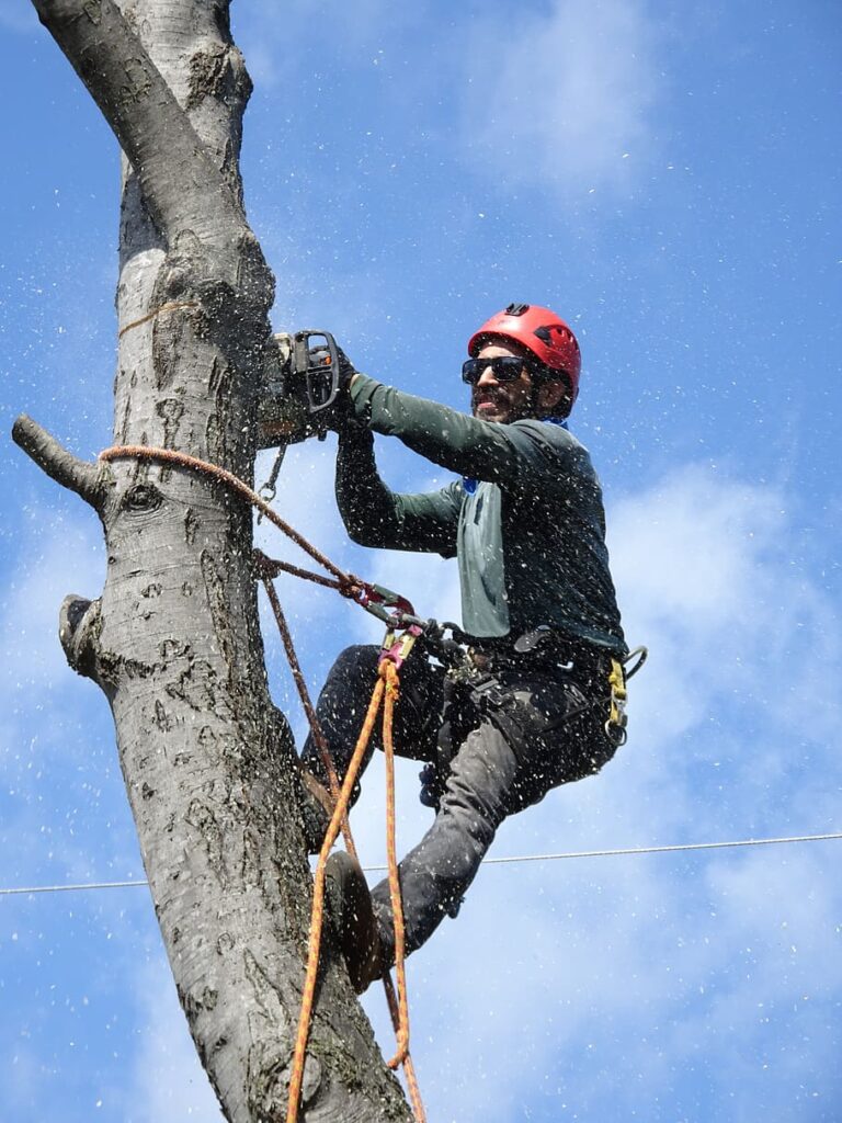 Tree Services Lead